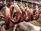 Meat Department in the butcher shop inside the restaurant. Various types of meat are presented in an orderly and creative way.