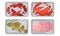 Meat and Fish Packed in Boxes Under Vacuum Food Packaging Film for Keeping Safe Vector Set