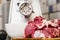 Meat grinder with fresh meat on a cutting board in kitchen interior. Machine for grinding meat into minced meat