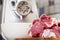 Meat grinder with fresh meat on a cutting board in kitchen interior. Machine for grinding meat into minced meat