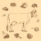 Meat hand drawn scheme of butchering beef with cow and herbs letterings on beige