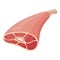 Meat leg icon, tasty uncooked raw meal