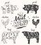 Meat menu pork chicken beef cuts hand drawn vector