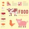 Meat production infographic vector illustration farming agriculture beef business cow concept information