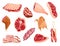 Meat products and raw meat. Illustration for concept product of farmers market or shop. Different kind of meat. Cartoon