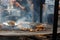 Meat ribs beef mushrooms grilling on open grill, outdoor kitchen