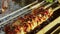 Meat roasting on skewers in brazier outdoors