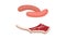 Meat with Sausage and Beef Rib as Foodstuff from Butchery Vector Set