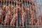 Meat sausages squeezed between grill grates, frying on a grill brazier