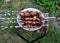 Meat on skewers for frying kebabs