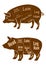 Meaty pigs with butchery cuts