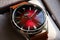 Mechanical automatic watch with red clock face, macro photo