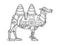 Mechanical camel animal engraving vector