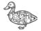 Mechanical duck bird animal sketch engraving
