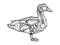 Mechanical duck bird animal sketch engraving