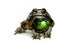 Mechanical Frog Toad Collage 3D Illustration
