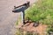 Mechanical goods scales stand on the grass, on the side of the road, in summer