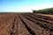 Mechanical harvesting sugar cane field at sunset in Sao Paulo Brazil - tractor on dirt road between harvested field and sugar cane