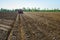 Mechanically making ridges and sowing potatoes