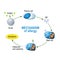 Mechanism of allergy. Mast cells and allergic reaction