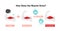 Mechanism of muscle growth  supercompensation . Vector illustration