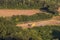 Mechanized soybean harvest on a farm in Londrina