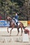 Medalist Marina Aframeeva horse named Vosk