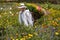 Medellin, Antioquia - Colombia - August 02, 2023. Silleteros parade, the city celebrates the flower fair