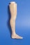 Medical acupuncture model of human leg
