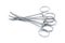 Medical allis tissue forceps for surgical doctor grasping or holding isolated