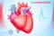 Medical Anatomical Cardio Template