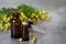 Medical aromatherapy oil bottles and chamomile plant bloom herbs on a stone background