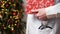 Medical banner concept for Christmas and New Year.Female doctor in white coat holds stethoscope and gift box wrapped in red paper