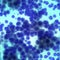 Medical biological cells background