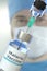 Medical bottle with malaria vaccine and syringe against blurred doctor`s face, 3D rendering