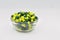 Medical capsules yellow green in glass bowl closeup against white