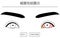 Medical Clipart, Line Drawing Illustration of Eye Disease and Bacterial conjunctivitis - Translation: Bacterial conjunctivitis,