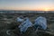 Medical face masks discarded on sea coast over sunset background,covid19 pandemic disease pollution