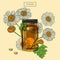 Medical feverfew flowers and vial and pills