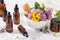 Medical flowers herbs in mortar essential oils in bottles. alternative medicine. clover milfoil tansy rosebay
