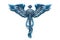 Medical and Healthcare Caduceus Emblem