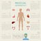 Medical and healthcare infographic, elements for creating infographics.