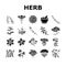 Medical Herb Natural Ingredient Icons Set Vector