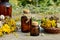 Medical herbs and bottles with tinctures