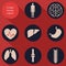 Medical icons, human bodies, flat design, vector