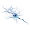 Medical illustration, nerve cells