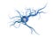 Medical illustration, nerve cells isolated