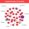 Medical infographics of composition of blood. View under the microscope.