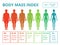 Medical infographics with illustrations of female body mass index.