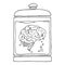 Medical jar with a brain in a liquid. Vector fluid with bubbles. Hand drawn brain in a liquid with bubbles